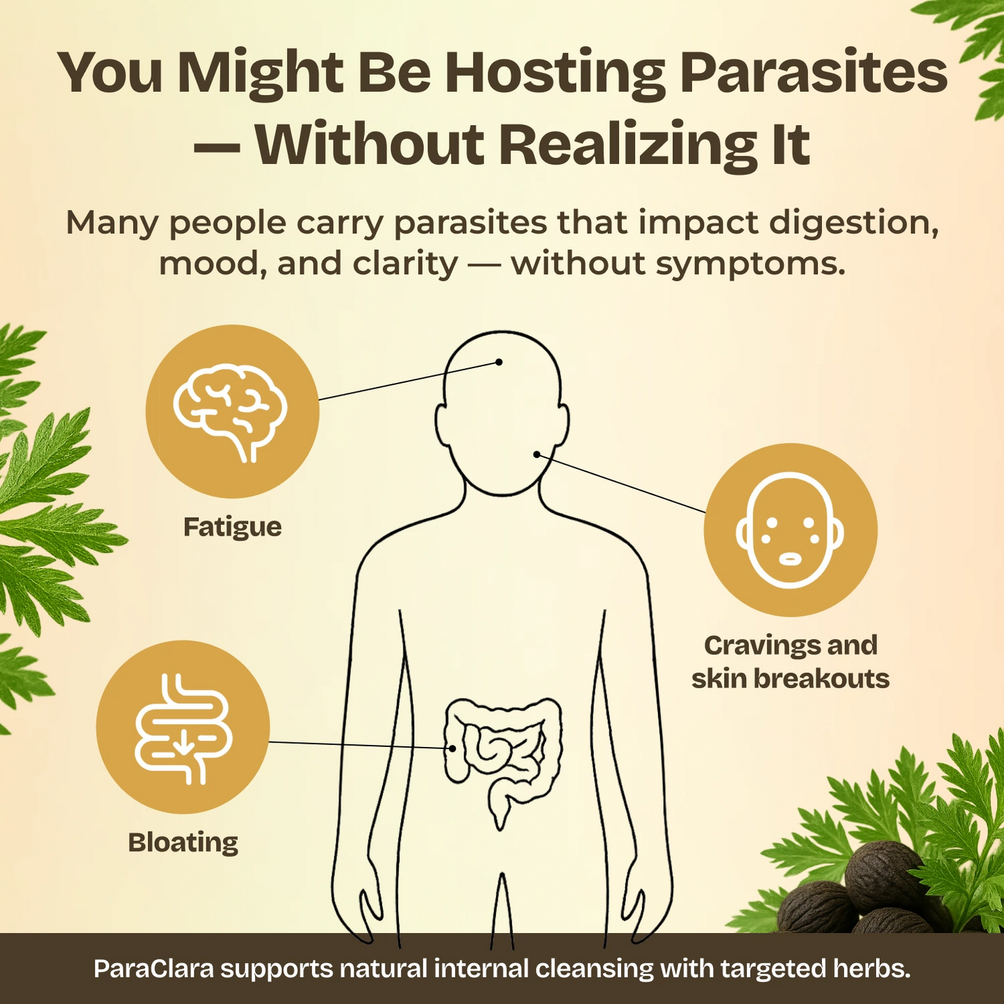 Parasite Cleanser
