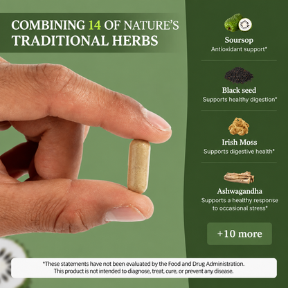 Soursop Capsules: Daily Holistic Blend