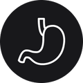 May help support a healthy digestive system